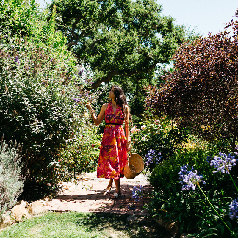 santa barbara chef and caterer behind flower cookies loria stern