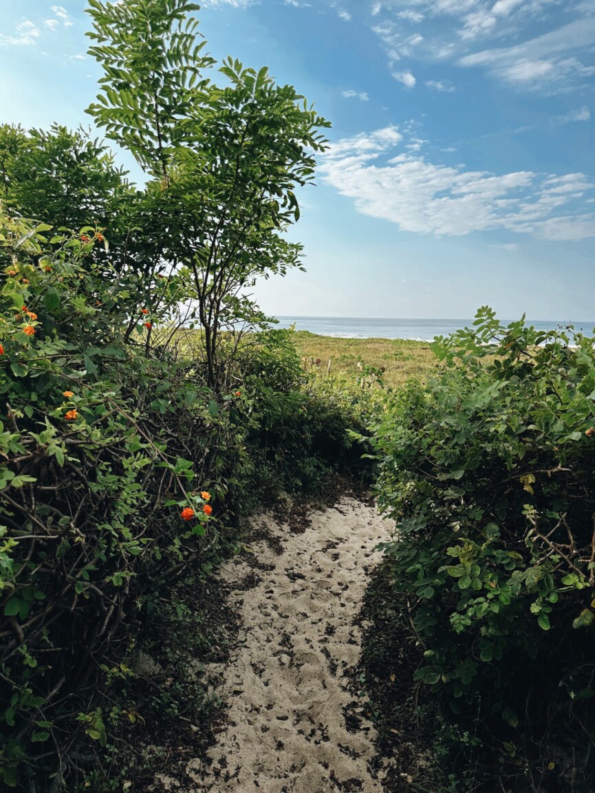 what to do in puerto escondido-beach path